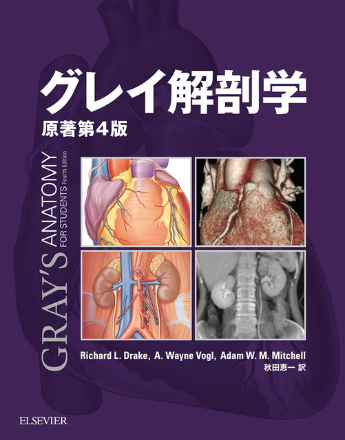 グレイ解剖学（エルゼビア・ジャパン）