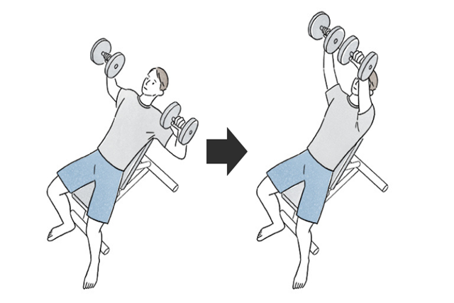 ★インクラインダンベルプレスで大胸筋を鍛えよう！正しいやり方や回数をご紹介★